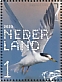 Little Tern Sternula albifrons  2020 Coastal birds Sheet, sa