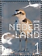 Kentish Plover Charadrius alexandrinus  2020 Coastal birds Sheet, sa