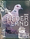 European Turtle Dove Streptopelia turtur  2020 Farmland birds Sheet, sa