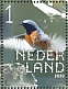 Common Redstart Phoenicurus phoenicurus  2020 Birds of woods Sheet, sa