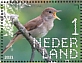 Common Nightingale Luscinia megarhynchos  2021 Duingebied 10v sheet, sa