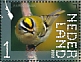 Common Firecrest Regulus ignicapilla