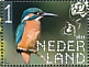 Common Kingfisher Alcedo atthis  2023 Oisterwijk 10v sheet, sa
