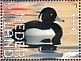 Tufted Duck Aythya fuligula  2023 Oisterwijk 10v sheet, sa