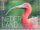 Scarlet Ibis Eudocimus ruber  2024 Birds Bonaire Sheet, sa