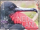 Magnificent Frigatebird Fregata magnificens  2024 Birds Bonaire Sheet, sa