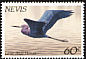 Little Blue Heron Egretta caerulea  1985 Local hawks and herons 
