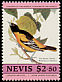 Baltimore Oriole Icterus galbula  1985 Audubon 