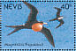 Magnificent Frigatebird Fregata magnificens  1991 Birds of Nevis Sheet