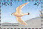 American Kestrel Falco sparverius  1991 Birds of Nevis Sheet