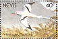 White-tailed Tropicbird Phaethon lepturus  1991 Birds of Nevis Sheet
