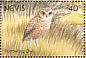 Burrowing Owl Athene cunicularia  1991 Birds of Nevis Sheet