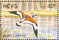 Ruddy Turnstone Arenaria interpres  1991 Birds of Nevis Sheet