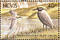 Yellow-crowned Night Heron Nyctanassa violacea  1991 Birds of Nevis Sheet