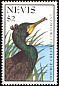 Double-crested Cormorant Nannopterum auritum  1995 Waterbirds 