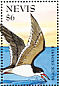 Black Skimmer Rynchops niger  1995 Waterbirds  MS