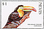 Keel-billed Toucan Ramphastos sulfuratus