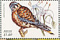 American Kestrel Falco sparverius  1999 Birds of the Caribbean Sheet