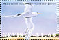 White-tailed Tropicbird Phaethon lepturus  2002 Birds - APS Stampshow 2002 Sheet