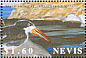 Black Skimmer Rynchops niger  2002 Birds - APS Stampshow 2002 Sheet