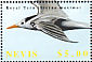 Royal Tern Thalasseus maximus  2002 Birds - APS Stampshow 2002  MS