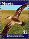 Great Shearwater Ardenna gravis  2010 Birds of Nevis Sheet