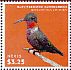 Ruby-throated Hummingbird Archilochus colubris