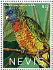 St. Lucia Amazon Amazona versicolor  2013 Parrots  MS