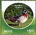 Wood Duck Aix sponsa  2014 Ducks Sheet