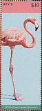 American Flamingo Phoenicopterus ruber  2015 Pink birds  MS
