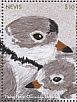 Piping Plover Charadrius melodus  2017 Piping Plover  MS
