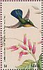 Antillean Crested Hummingbird Orthorhyncus cristatus  2018 Hummingbirds Sheet
