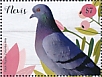 Rock Dove Columba livia  2019 Pigeons Sheet