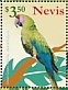 Great Green Macaw Ara ambiguus