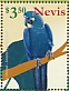 Lear's Macaw Anodorhynchus leari  2021 Macaws Sheet