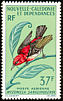 New Caledonian Myzomela Myzomela caledonica  1966 Birds 