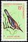 New Caledonian Friarbird Philemon diemenensis  1970 Birds 