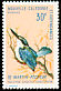 Sacred Kingfisher Todiramphus sanctus  1970 Birds 