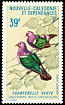 Pacific Emerald Dove Chalcophaps longirostris  1970 Birds 