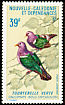 Pacific Emerald Dove Chalcophaps longirostris