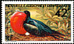 Great Frigatebird Fregata minor  1977 Great Frigatebird 