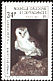 Eastern Barn Owl Tyto javanica