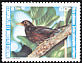 Island Thrush Turdus poliocephalus