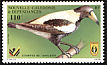 Australian Magpie Gymnorhina tibicen