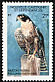 Peregrine Falcon Falco peregrinus  1987 Birds 