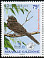 New Caledonian Owlet-nightjar Aegotheles savesi  2006 BirdLife International 