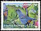 New Caledonian Cuckooshrike Edolisoma anale  2007 BirdLife International 