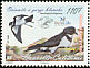 Polynesian Storm Petrel Nesofregetta fuliginosa  2008 BirdLife International 