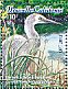 White-faced Heron Egretta novaehollandiae  2015 Herons Sheet