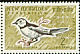 Buff-bellied Monarch Neolalage banksiana  1963 English definitives 